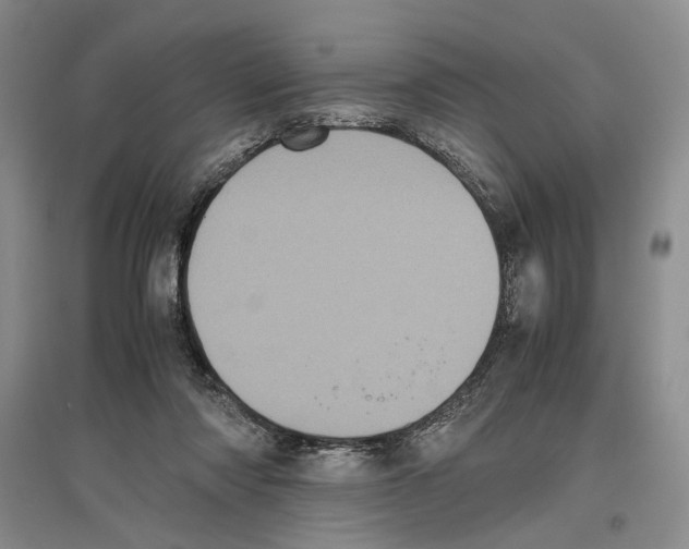 X0000096420310200802211130