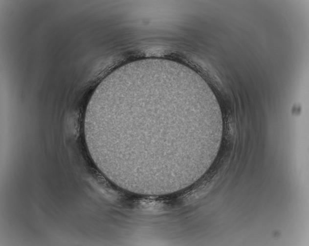X0000096420311200802211130