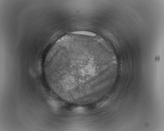 X0000096420312200802211129