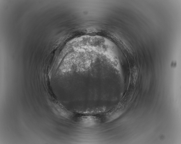 X0000096420316200802211129