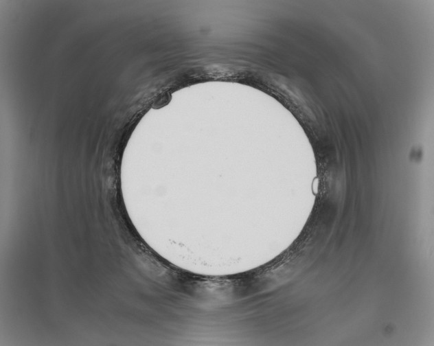 X0000096420317200802211129