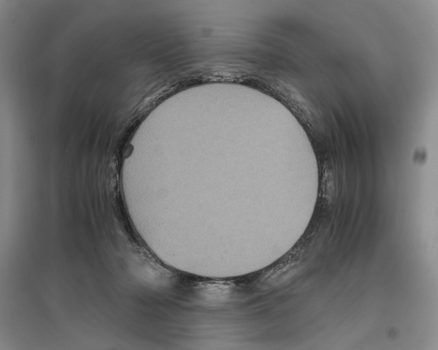 X0000096420318200802211129