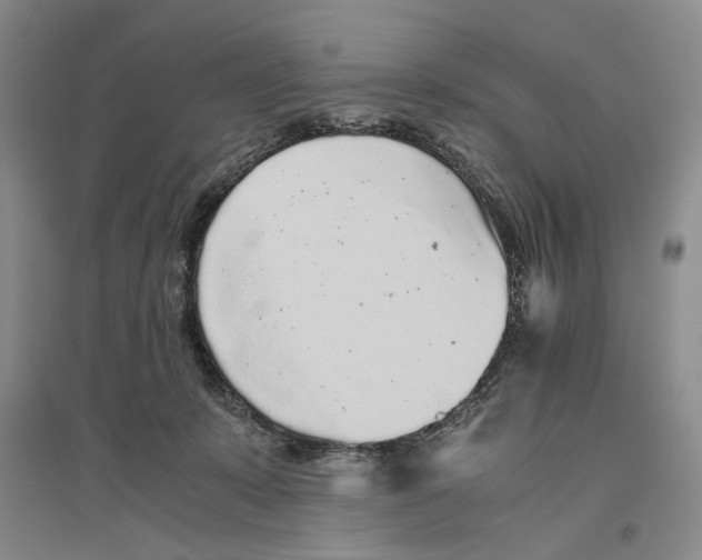 X0000096420319200802211129