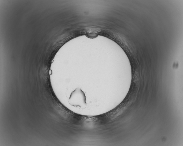 X0000096420321200802211129