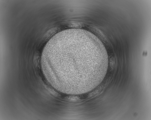 X0000096420322200802211129
