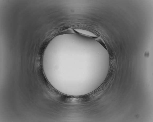X0000096420323200802211129