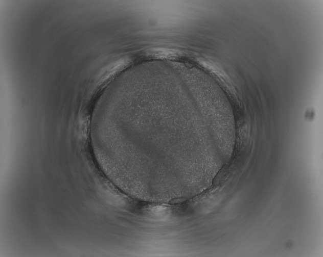 X0000096420325200802211129