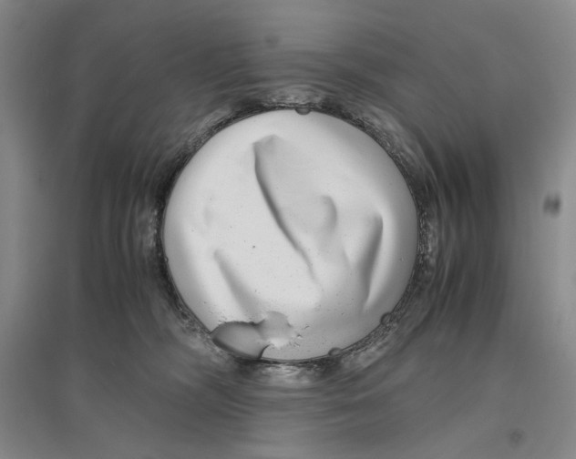 X0000096420326200802211129