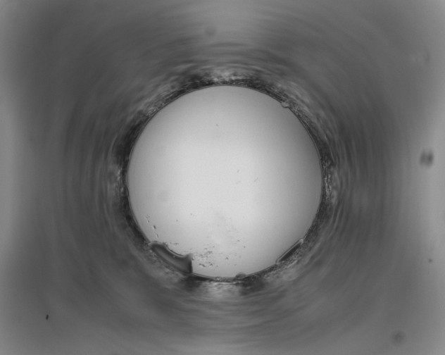 X0000096420327200802211129