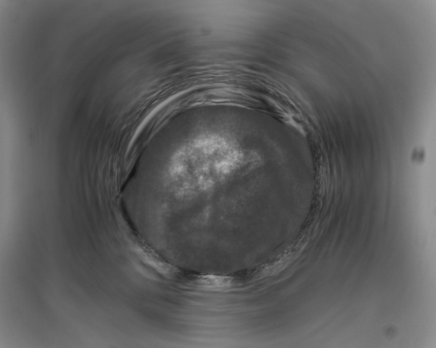 X0000096420328200802211129