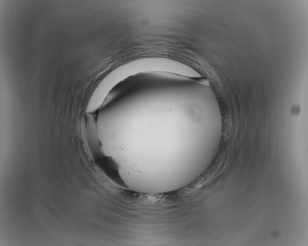 X0000096420329200802211129