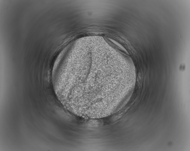 X0000096420330200802211129