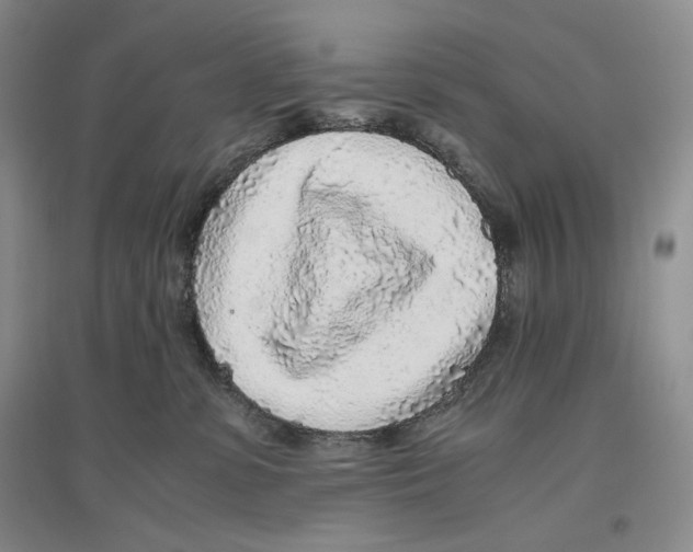 X0000096420331200802211129