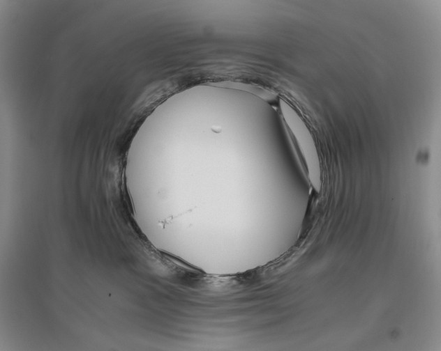 X0000096420333200802211129
