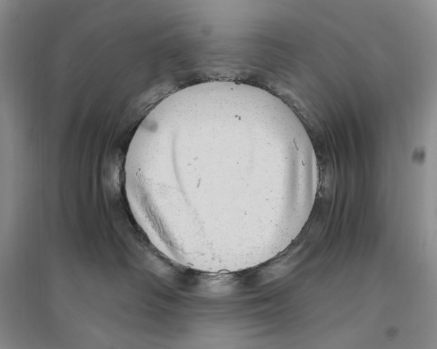 X0000096420334200802211129