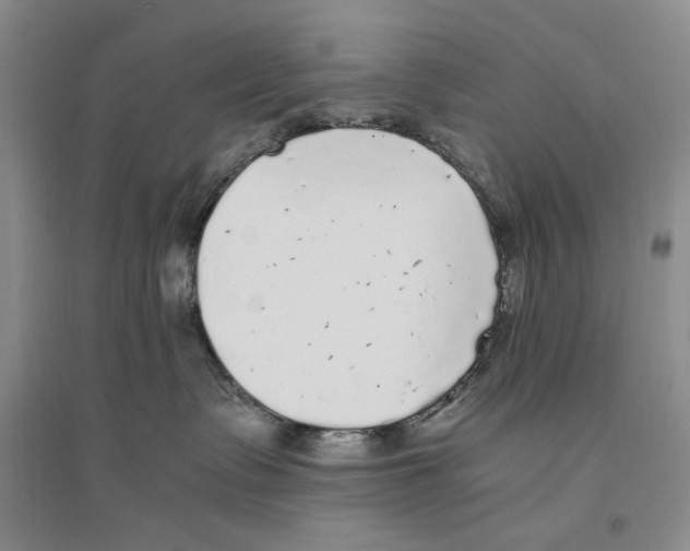 X0000096420335200802211129