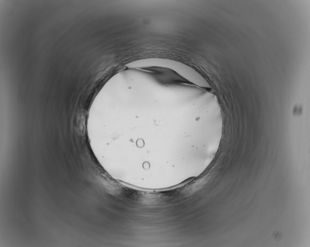 X0000096420336200802211129