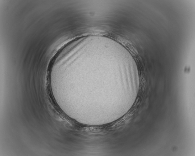 X0000096420338200802211129