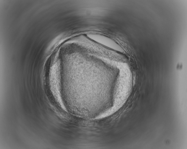 X0000096420339200802211129