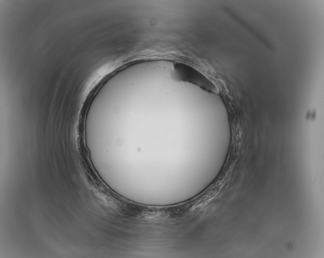 X0000096420340200802211129