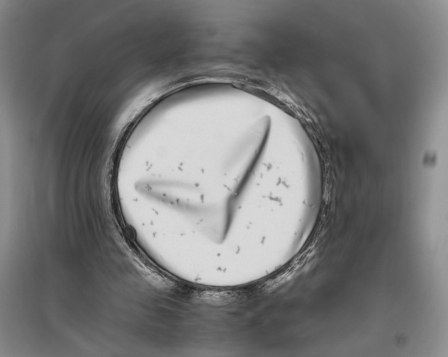 X0000096420341200802211129