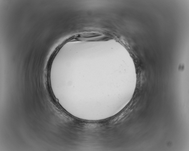 X0000096420342200802211129