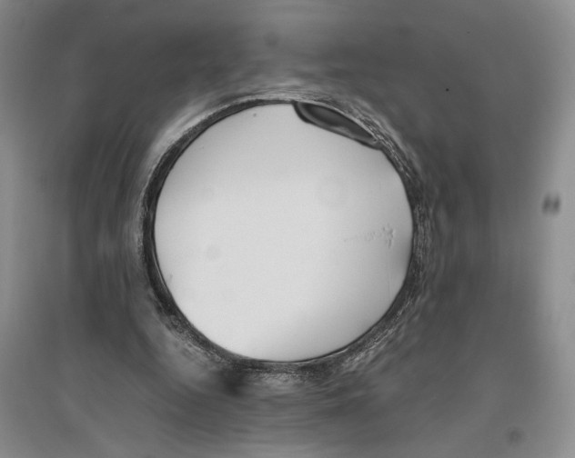 X0000096420344200802211129