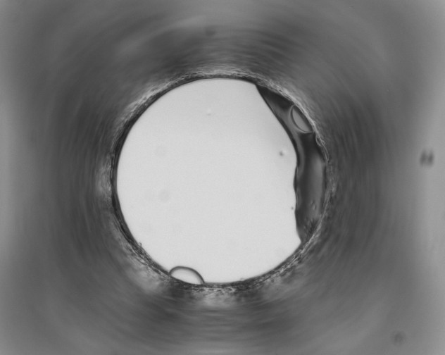 X0000096420345200802211129