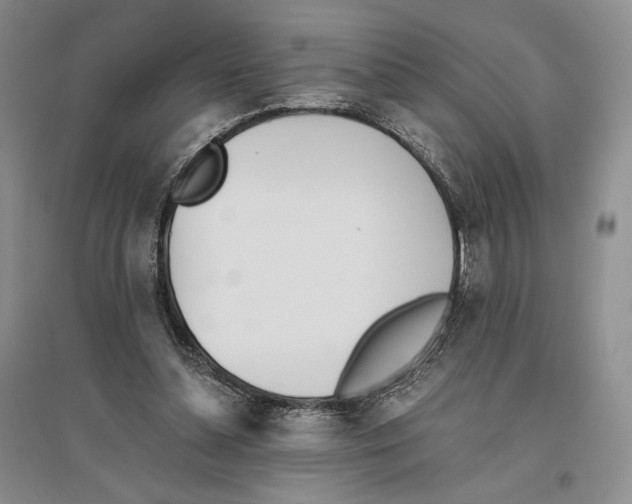 X0000096420348200802211129