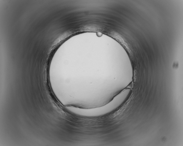 X0000096420349200802211129