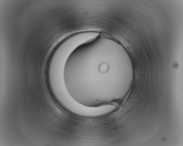 X0000096420350200802211129