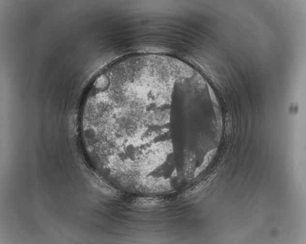 X0000096420351200802211129