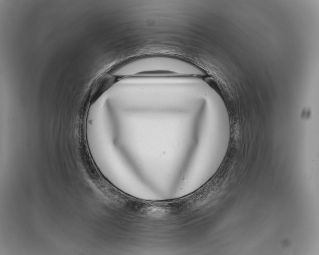 X0000096420352200802211129