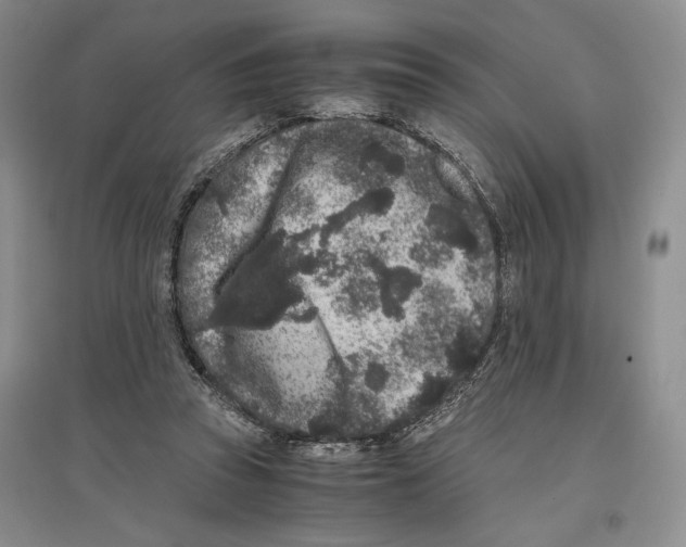 X0000096420353200802211129