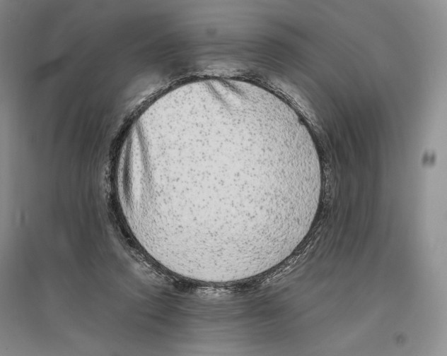 X0000096420354200802211129