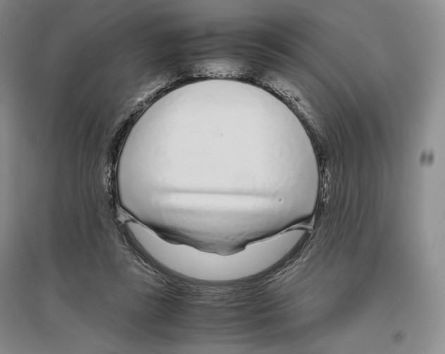 X0000096420355200802211129