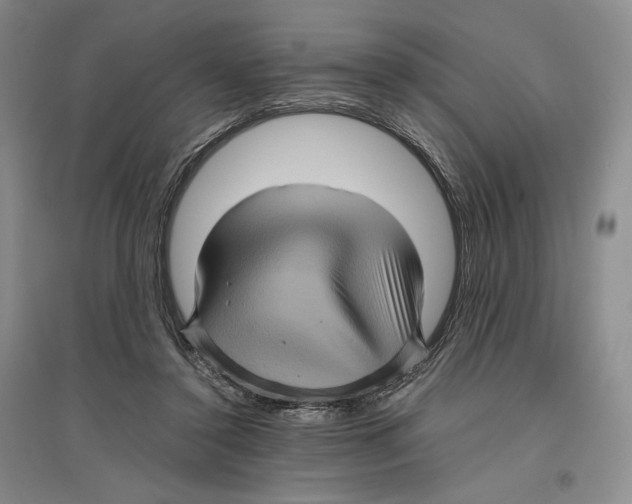 X0000096420356200802211129