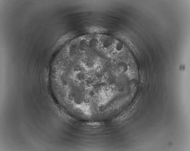 X0000096420357200802211129