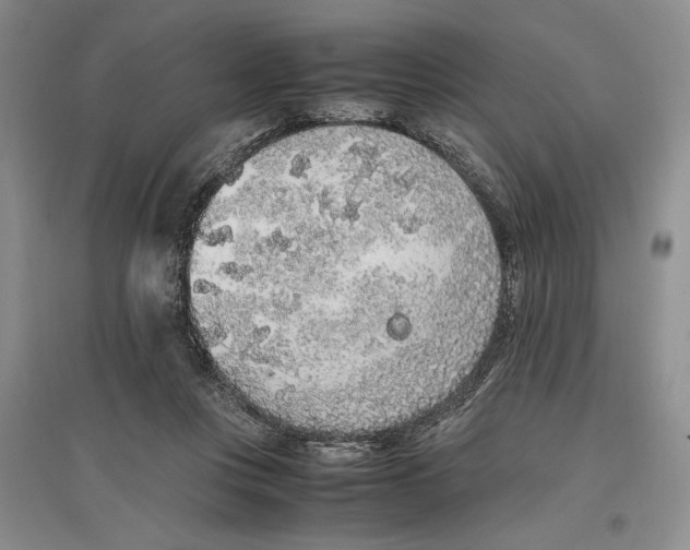 X0000096420359200802211129