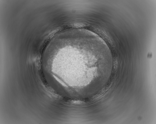 X0000096420360200802211129