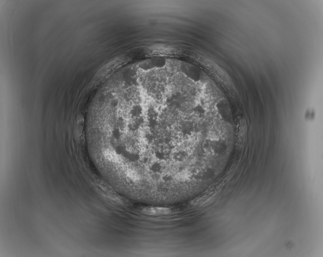X0000096420361200802211129