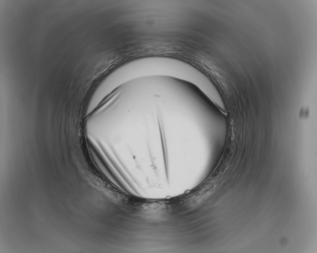 X0000096420362200802211129