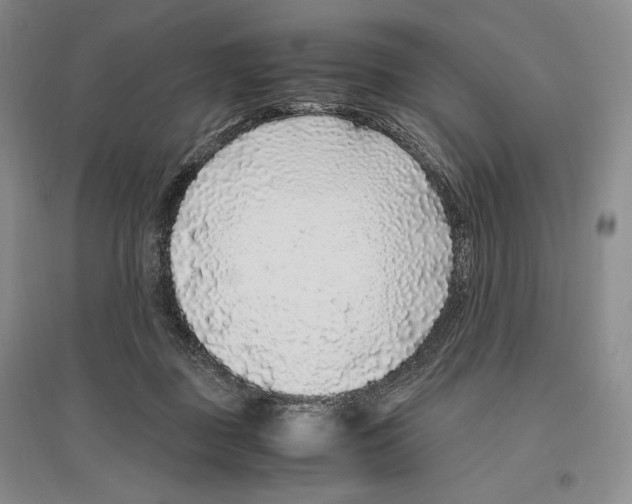 X0000096420363200802211129