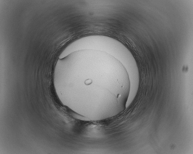 X0000096420364200802211129