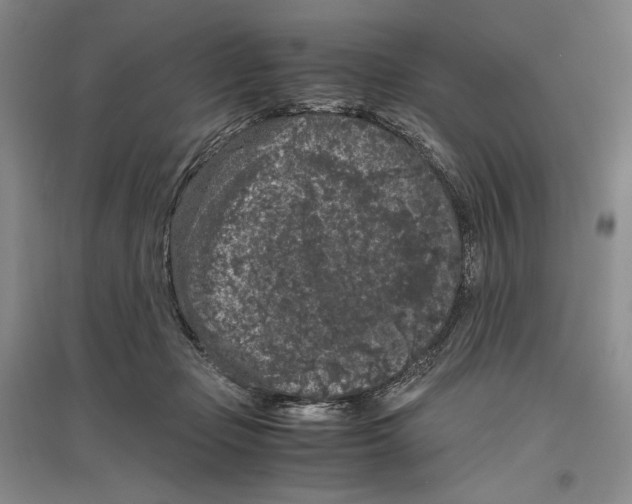 X0000096420365200802211129