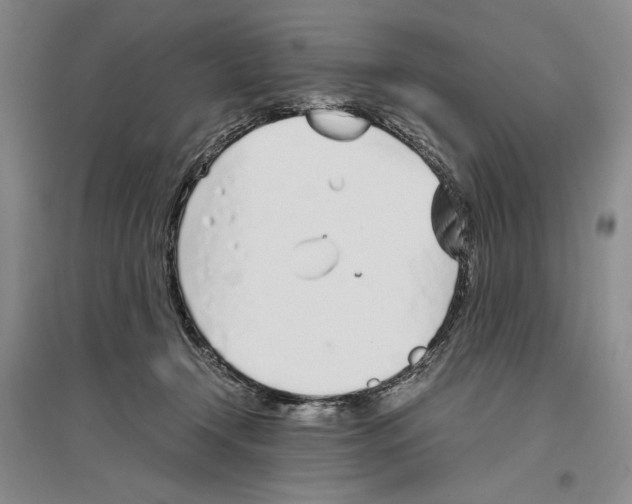 X0000096420366200802211129