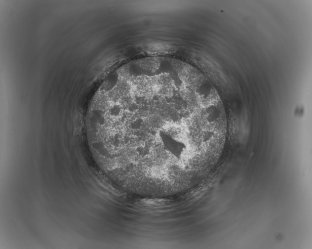 X0000096420367200802211129