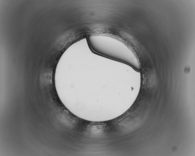 X0000096420368200802211129
