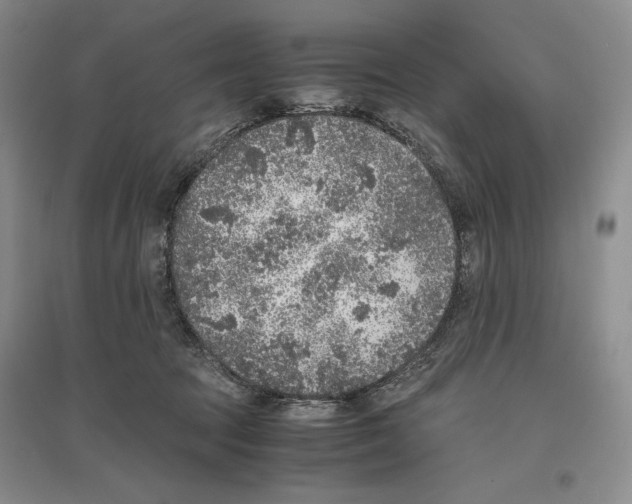 X0000096420369200802211129