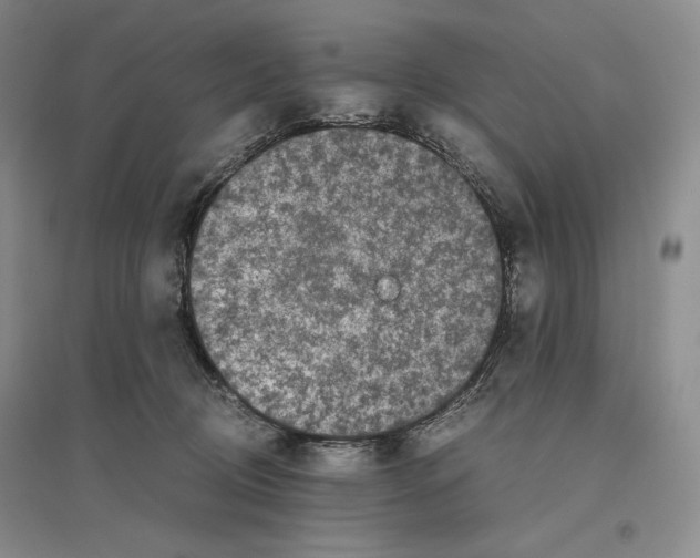 X0000096420370200802211129
